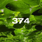Reporte Agroindustrial 374 | Resultados de la encuesta de soja EEAOC (ESE 2026) en Tucumán y zona de influencia: rendimientos y manejo del cultivo en la campaña 2025/26