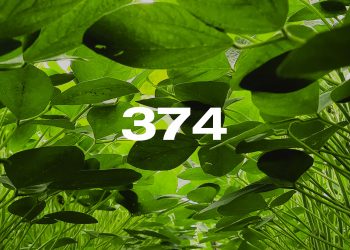 Reporte Agroindustrial 374 | Resultados de la encuesta de soja EEAOC (ESE 2026) en Tucumán y zona de influencia: rendimientos y manejo del cultivo en la campaña 2025/26