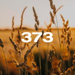 Reporte Agroindustrial 373 | Resultados del relevamiento de cultivos de invierno en Tucumán y zona de influencia en la campaña 2025