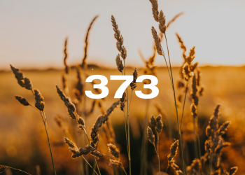Reporte Agroindustrial 373 | Resultados del relevamiento de cultivos de invierno en Tucumán y zona de influencia en la campaña 2025