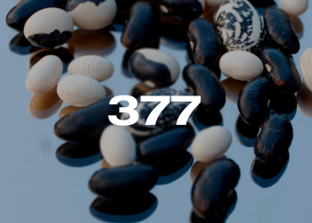 Reporte Agroindustrial 377 | Consideraciones de la campaña de poroto 2026. Resultado de ensayos