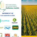 49° Informe sobre Red Nacional de Monitoreo de 𝒟𝓪𝓁𝓫𝓊𝓵𝓊𝓼 𝓶𝒶𝓲𝒹𝓲𝓈