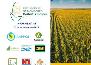 49° Informe sobre Red Nacional de Monitoreo de 𝒟𝓪𝓁𝓫𝓊𝓵𝓊𝓼 𝓶𝒶𝓲𝒹𝓲𝓈