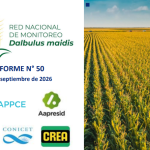 50° Informe sobre Red Nacional de Monitoreo de Dalbulus maidis