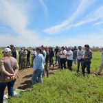 La EEAOC presentó alternativas para diversificar la producción de cultivos invernales en la región