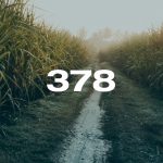 Reporte Agroindustrial 378 | Tarifas de cosecha y transporte de la zafra 2026 y estimación de los costos de plantación y fertilización del cultivo de caña de azúcar para la campaña 2026/27