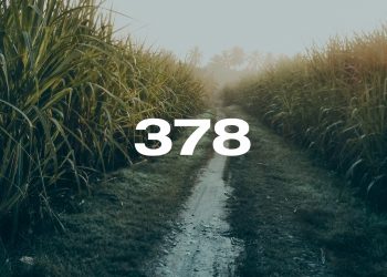 Reporte Agroindustrial 378 | Tarifas de cosecha y transporte de la zafra 2026 y estimación de los costos de plantación y fertilización del cultivo de caña de azúcar para la campaña 2026/27