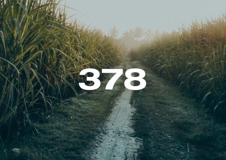 Reporte Agroindustrial 378 | Tarifas de cosecha y transporte de la zafra 2026 y estimación de los costos de plantación y fertilización del cultivo de caña de azúcar para la campaña 2026/27