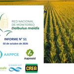 51° Informe sobre Red Nacional de monitoreo de la chicharrita del maíz, Dalbulus maidis