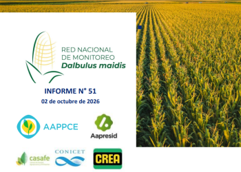 51° Informe sobre Red Nacional de monitoreo de la chicharrita del maíz, Dalbulus maidis