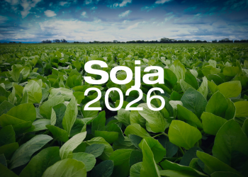 Publicación especial | El cultivo de la soja en el NOA Campaña 2025/2026